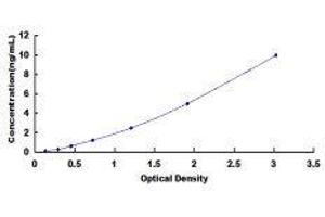 ELISA image for Latent Transforming Growth Factor beta Binding Protein 1 (LTBP1) ELISA Kit (ABIN425342)