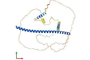 AlphaFold protein structure predicition of Human Recombinant PAWR Protein, UniprotID Q96IZ0