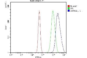 Flow Cytometry analysis of A431 cells using anti-SUMO2/3 antibody (ABIN7600856). (SUMO2/3 anticorps  (AA 24-72))