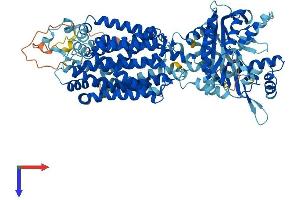 AlphaFold protein structure predicition of Human Recombinant PTCHD1 Protein, UniprotID Q96NR3