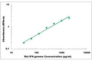 Representative Standard Curve (Interferon gamma Kit ELISA)
