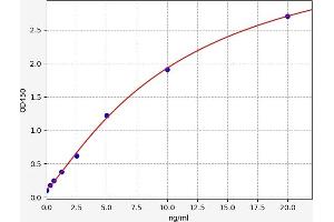 Typical standard curve (SNX9 Kit ELISA)