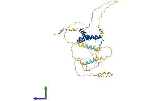 AlphaFold protein structure predicition of Mouse Recombinant Sox18 Protein, UniprotID P43680