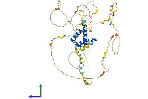 AlphaFold protein structure predicition of Mouse Recombinant Hoxa3 Protein, UniprotID P02831