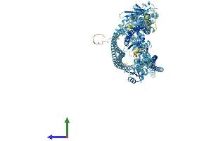 AlphaFold protein structure predicition of Mouse Recombinant Smc1b Protein, UniprotID Q920F6