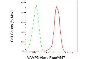 Flow cytometric analysis of VAMP3 expression in HAP-1 cells using VAMP3 antibody (ABIN7800831), 1:2,000).