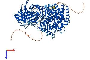 AlphaFold protein structure predicition of Mouse Recombinant Gba2 Protein, UniprotID Q69ZF3