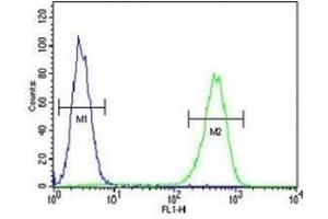 AMACR antibody flow cytometric analysis of MDA-MB231 cells (green) compared to a negative control (blue).