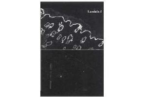 anti-Laminin 5 (LN-5) antibody