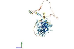 AlphaFold protein structure predicition of Mouse Recombinant Dync1i1 Protein, UniprotID O88485