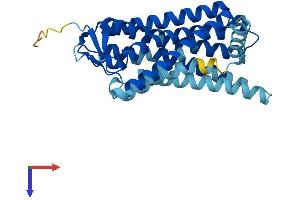 AlphaFold protein structure predicition of Human Recombinant OR5I1 Protein, UniprotID Q13606