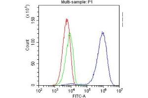 Flow Cytometry analysis of Jurkat cells using anti-TAPA1 antibody .