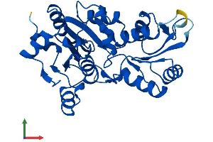 AlphaFold protein structure predicition of Mouse Recombinant Pdxp Protein, UniprotID P60487