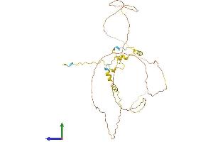 AlphaFold protein structure predicition of Human Recombinant CYLC2 Protein, UniprotID Q14093