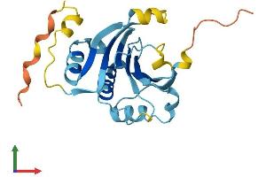 AlphaFold protein structure predicition of Mouse Recombinant Eif4e3 Protein, UniprotID Q9DBB5