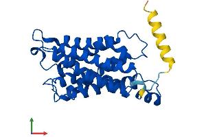 AlphaFold protein structure predicition of Human Recombinant AQP5 Protein, UniprotID P55064