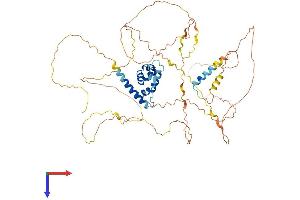 AT Rich Interactive Domain 5A (MRF1-Like) (ARID5A) (AA 1-594) protein (His tag)