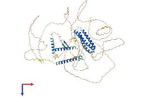 AlphaFold protein structure predicition of Mouse Recombinant Dlgap5 Protein, UniprotID Q8K4R9