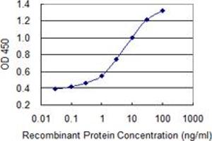 Detection limit for recombinant GST tagged PRKCD is 0. (PKC delta anticorps  (AA 577-676))