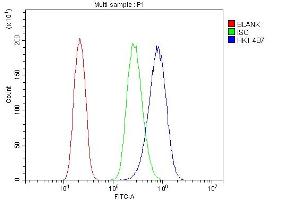 Flow Cytometry analysis of PC-3 cells using anti- Hexokinase 1/HK1 antibody (ABIN7600259).