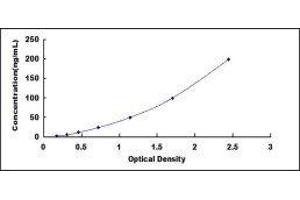 ELISA image for Anti-C Reactive Protein Antibody (Anti-CRP) ELISA Kit (ABIN1873256)