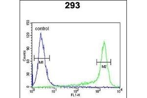 PRDX6 Antibody (Center) (ABIN650765 and ABIN2839536) flow cytometric analysis of 293 cells (right histogram) compared to a negative control cell (left histogram). (Peroxiredoxin 6 anticorps  (AA 103-132))