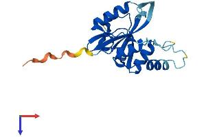 AlphaFold protein structure predicition of Human Recombinant JOSD2 Protein, UniprotID Q8TAC2