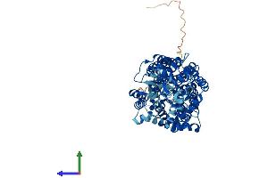 AlphaFold protein structure predicition of Human Recombinant SLC6A14 Protein, UniprotID Q9UN76