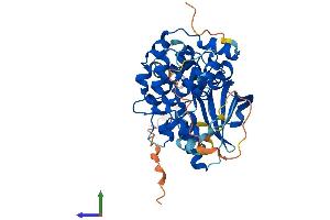 AlphaFold protein structure predicition of Human Recombinant MAP2K2 Protein, UniprotID P36507