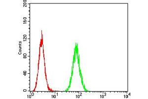 Flow cytometric analysis of Hela cells using HTR3A mouse mAb (green) and negative control (red).