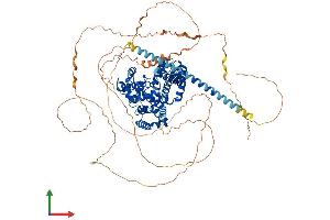 AlphaFold protein structure predicition of Human Recombinant TBC1D10B Protein, UniprotID Q4KMP7