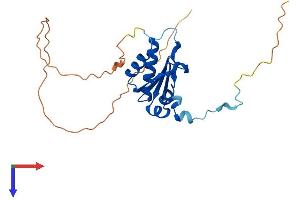 AlphaFold protein structure predicition of Mouse Recombinant Malsu1 Protein, UniprotID Q9CWV0