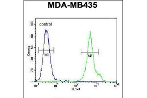 Flow cytometric analysis of MDA-MB435 cells (right histogram) compared to a negative control cell (left histogram). (CD1e anticorps  (AA 184-212))