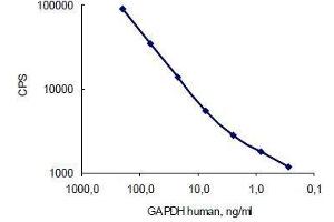 Antigen: Human GAPDH, Capture: GAPDH antibody (10R-G109a) served as a coating; Detection: GAPDH antibody (10R-G109a)  (labelled with stable Eu3+ chelate). (GAPDH anticorps)