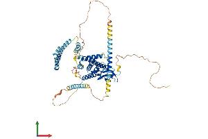 AlphaFold protein structure predicition of Mouse Recombinant Spata18 Protein, UniprotID Q0P557