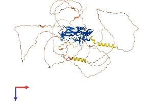 AlphaFold protein structure predicition of Human Recombinant TBX3 Protein, UniprotID O15119