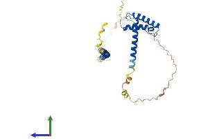AlphaFold protein structure predicition of Human Recombinant MSANTD3 Protein, UniprotID Q96H12