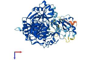AlphaFold protein structure predicition of Mouse Recombinant Aacs Protein, UniprotID Q9D2R0