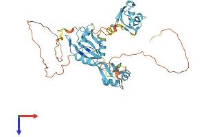 AlphaFold protein structure predicition of Mouse Recombinant Hnrnpf Protein, UniprotID Q9Z2X1