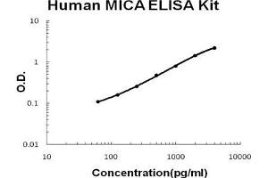 Human MICA PicoKine ELISA Kit standard curve (MICA Kit ELISA)