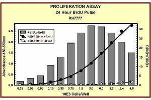 ELISA image for Bromodeoxyuridine (BrdU) ELISA Kit (ABIN955803)