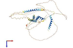 AlphaFold protein structure predicition of Mouse Recombinant Acbd5 Protein, UniprotID Q5XG73