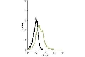 Cell surface detection of KCa3.