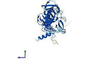 AlphaFold protein structure predicition of Human Recombinant SETD7 Protein, UniprotID Q8WTS6