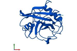 AlphaFold protein structure predicition of Mouse Recombinant Ppia Protein, UniprotID P17742