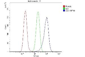 Flow Cytometry analysis of A549 cells using anti-ULK1 antibody (ABIN7602755). (ULK1 anticorps  (C-Term))
