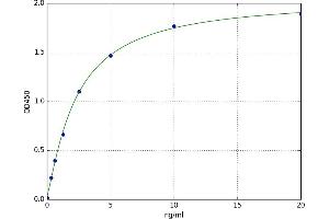 A typical standard curve (LGALS8 Kit ELISA)