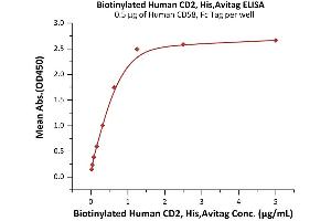 Immobilized Human CD58, Fc Tag (ABIN5526666,ABIN5526667) at 5 μg/mL (100 μL/well) can bind Biotinylated Human CD2, His,Avitag (ABIN6992421) with a linear range of 0. (CD2 Protein (CD2) (AA 25-209) (His tag,AVI tag,Biotin))
