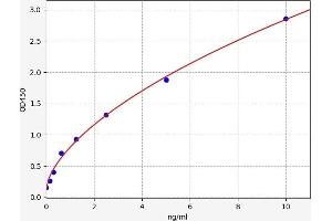 Typical standard curve (DCC Kit ELISA)