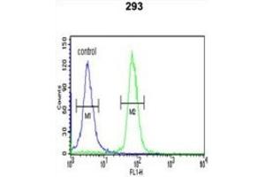 Flow Cytometry (FACS) image for anti-serine/threonine Kinase 40 (STK40) antibody (ABIN3004006) (STK40 anticorps)